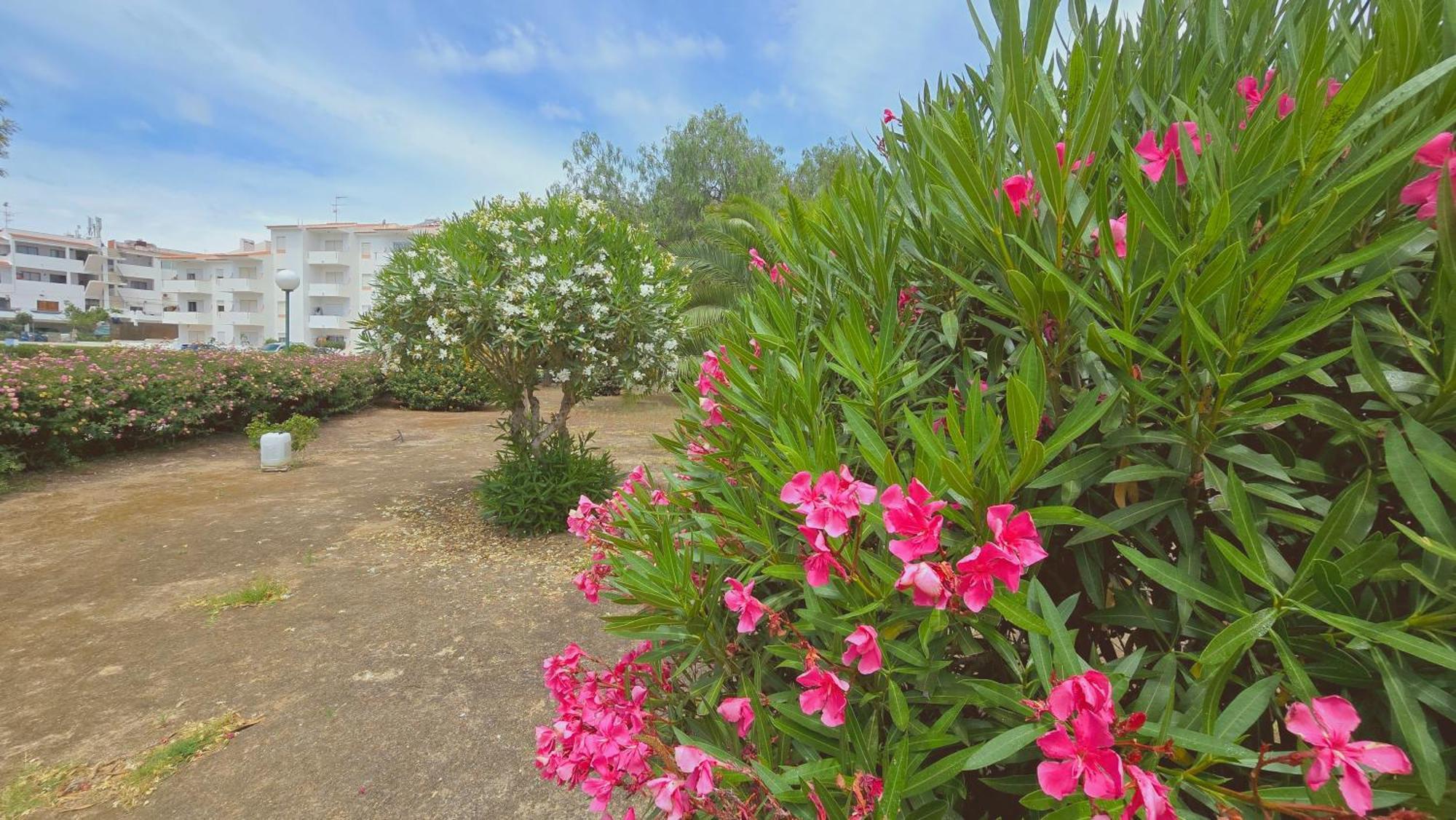 אלבופיירה Praia Eulalia With Pool And 5 Minutes From The Beach מראה חיצוני תמונה
