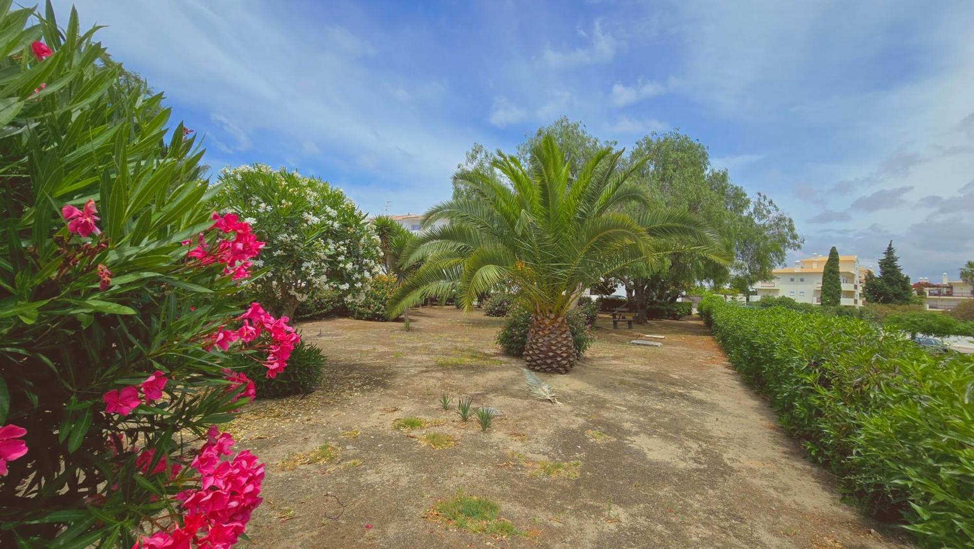 אלבופיירה Praia Eulalia With Pool And 5 Minutes From The Beach מראה חיצוני תמונה