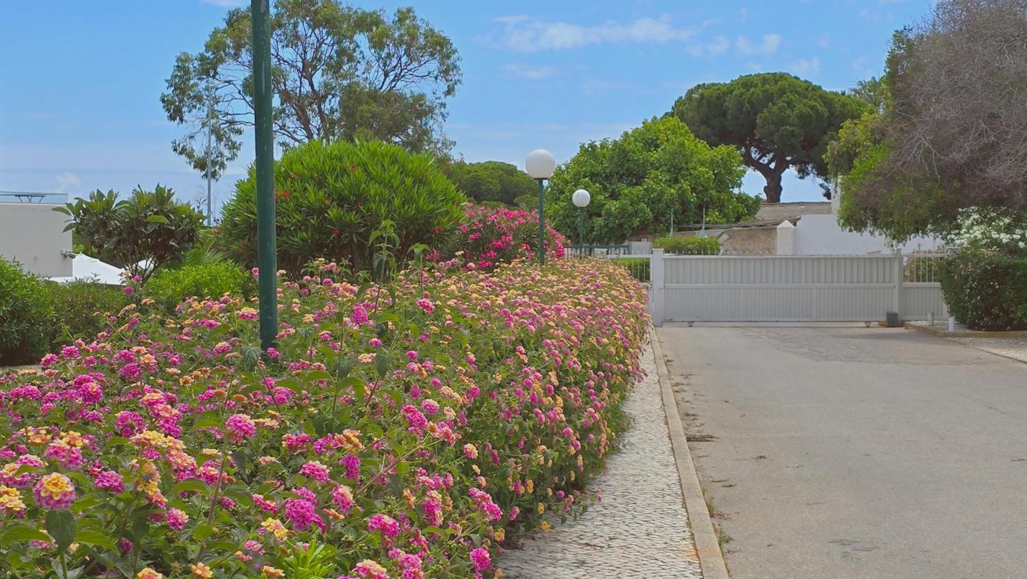 אלבופיירה Praia Eulalia With Pool And 5 Minutes From The Beach מראה חיצוני תמונה
